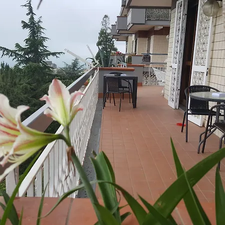 Le ginestre-3